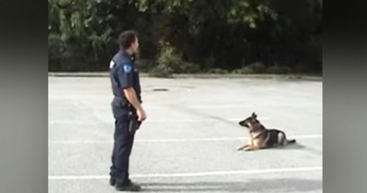 K9 Has Everyone Chuckling When Officer Points Finger