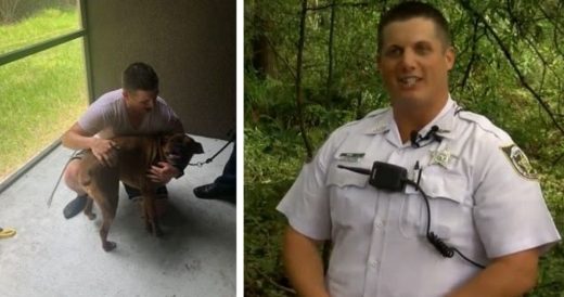 Man Jumps In To Save Dog Trapped In Swamp With Alligators