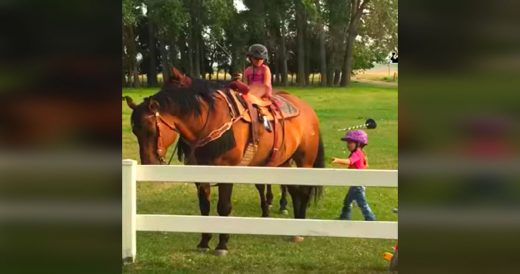 Little Girl Devises Plan To Get Back On Horse