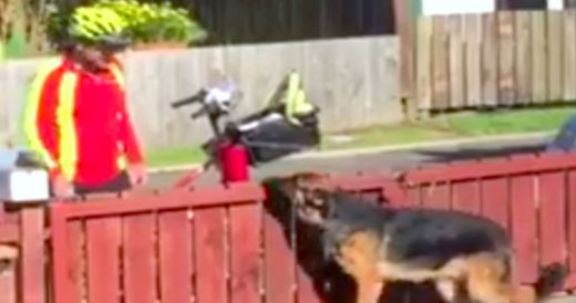 Mailman Has Sweet Interaction With Neighbourhood’s “Dangerous” Dog