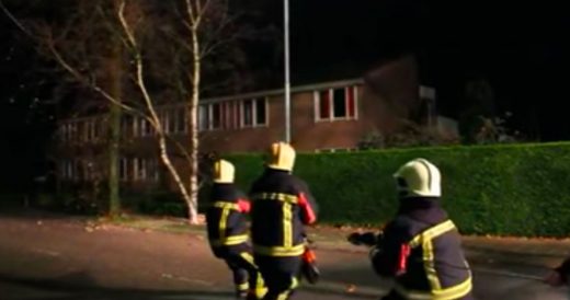 Dog Helps Firefighters Pull Down Tree