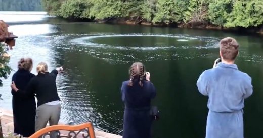 2 Humpback Whales Graze Surface Of Water In British Columbia