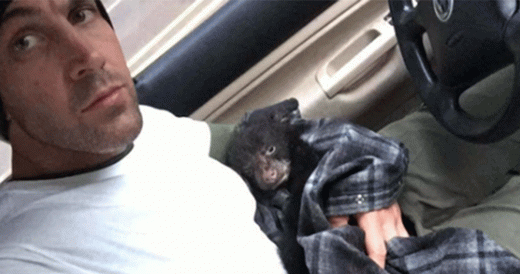 Hiker Gets In Trouble For Bringing Dying Cub To Safety