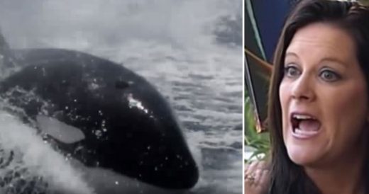 Couple Finds Themselves Surrounded By 20 Killer Whales