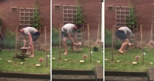 Man Runs In Circles To Catch Pet Rabbit In Box