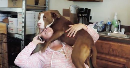 Rescue Dog Keeps Interrupting Woman On The Phone To Show Her How Much He Loves H...