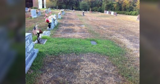 Man Waters His Wife’s Grave And The Fallen Soldier’s Grave Beside Hers Every...