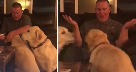 Dog Gets Jealous When His Sister Gets Ear Drops