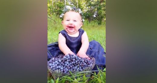 Parents Sit Baby Girl In Front Of Blueberries, The Moment That Follows Has Them ...