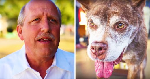 Sweet Pup Enters Beauty Contest, Only To Be Labeled As The Ugliest Dog Ever