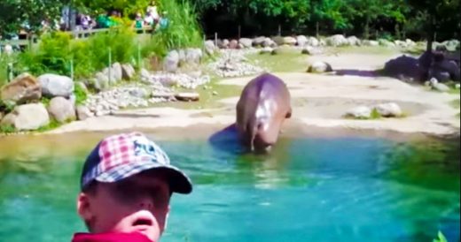 Hippo Lets Out World’s Biggest Fart