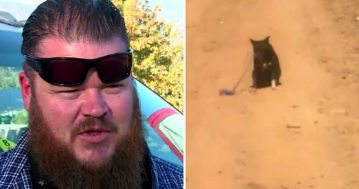 Man Sees Leashed Dog Alone On Dirt Road, Then Cries For Help Send Him On A Rescu...