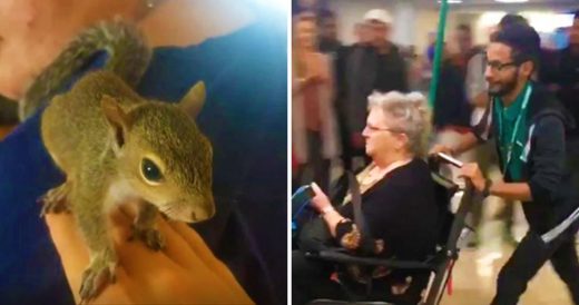 Woman Gets Kicked Off Of Flight For Bringing Emotional Support Squirrel On Board