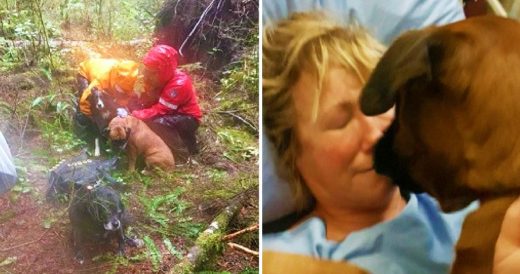 Lost Woman Breaks Her Leg In The Forest And Dogs Keep Her Alive