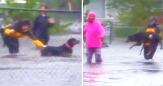 Reporter Is Covering Massive Storm, Suddenly Stops Mid-Broadcast To A Rescue Dro...