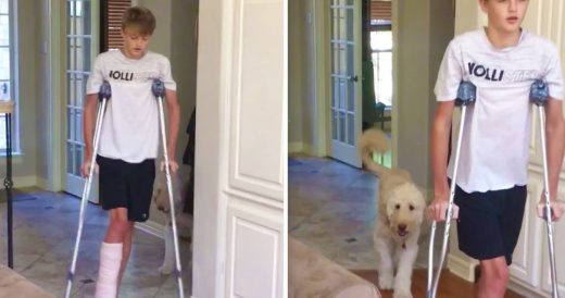 Teen Is On Crutches And Dog Mocks Him By Mimicking His Walk