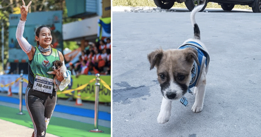 Woman Runs 19-Mile Marathon With Pup She Rescued Mid-Race