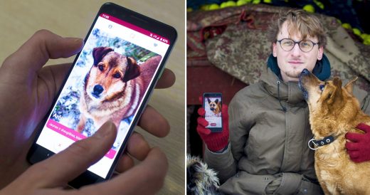 “Dating App” Is Changing The Way Shelter Dogs Are Finding New Homes