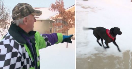 Dog’s Unusual Behavior Leads To 87-Year-Old’s Rescue In Freezing Cold