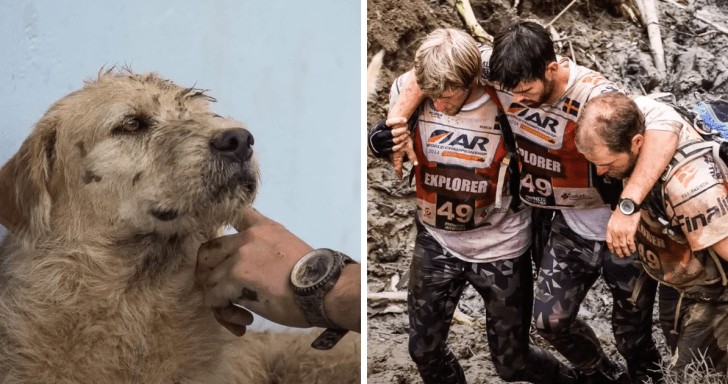 Stray Dog Joins 430-Mile Adventure Race And Ends Up With A Forever Home