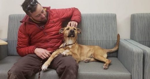 Man Travels 1,100 Miles To Adopt Stray Dog He Met On A Road Trip