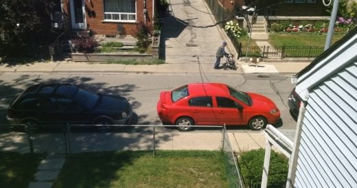 Elderly Owner Is Left Behind On A Walk, But Loyal Dog Knows Just What To Do