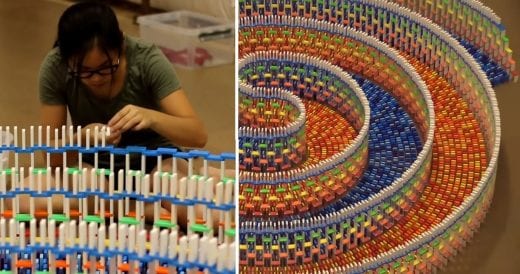 Woman Spends 25 Hours Setting Up Dominoes, Then She Lets Them Collapse