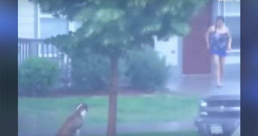 Dog Tied To Tree & Abandoned In Thunderstorm, Then Woman Comes To Rescue