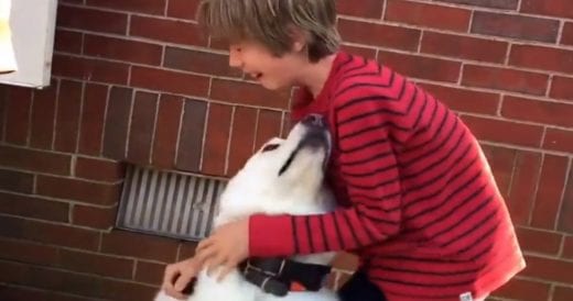 Boy Is In Tears As He Reunites With His Dog Best Friend After A Year Apart