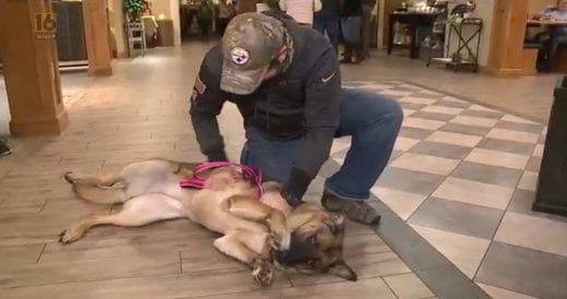 Veteran Reunites With Former Service Dog After Long Separation