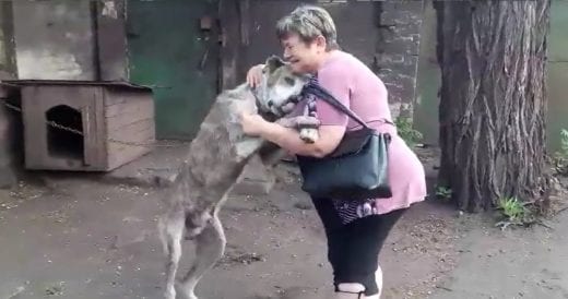 Dog Is Stolen From Owner’s Backyard, Two Years Later They Finally Reunite