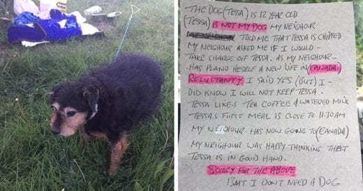 Old Dog Abandoned Behind A Bush With A Note Reading “I Don’t Need A Dog” G...