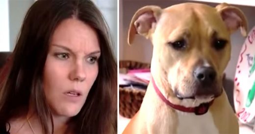 Owner Wakes Up To Pup’s Grumbling That Ends Up Saving Her Son’s Life