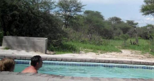 Family Is Relaxing In Pool When A Friendly Elephant Comes Over To Say Hi