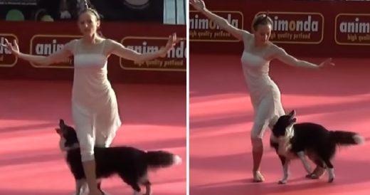 Woman And Her Dog Put On Dazzling Freestyle Dance In Front Of An Audience