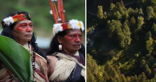 Amazonian Tribe Wins Lawsuit Against Oil Company To Preserve Over 500,000 Acres ...