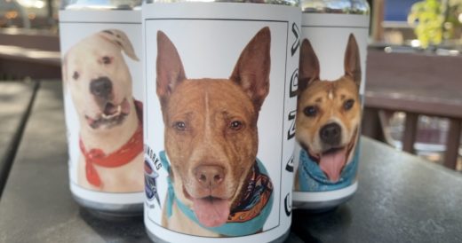 Brewery Prints Local Shelter Dogs On Beer Cans To Boost Their Chances Of Getting...