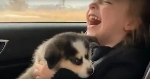 5-Year-Old With Cerebral Palsy Gets Rewarded With Puppy After Learning How To Wa...