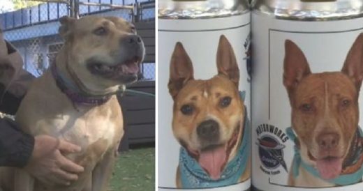 Woman Reunited With Lost Dog After She Noticed Her Pup’s Face On A Beer Can