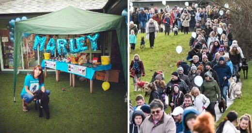 Hundreds Of People And Their Dogs Gather Together For Terminally Ill Dog’s Fin...