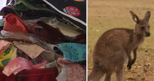 Woman Sews Handmade Pouches For Marsupials Devastated By The Australian Bushfire...