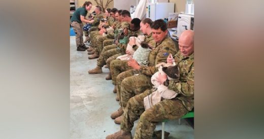 Australian Soldiers Are Using Spare Time To Care For Koalas Forced to Relocate D...