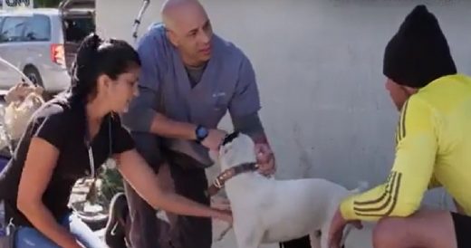 Generous Veterinarian Has Treated Over 400 Homeless Peoples’ Pets Free Of Char...