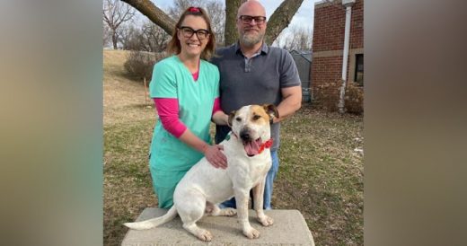 Dog Gets Adopted After Almost 6 Years Of Being In A Shelter Thanks To Billboard ...