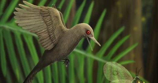 Extinct Hummingbird-Like Creature Is The Smallest Of Dinosaurs