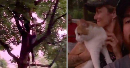Tree Service Company Rescues Cat Stuck In Tree Right Before Thunderstorm