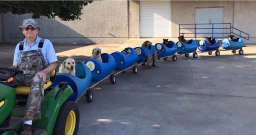 Elderly Man Builds Mini Train To Give Rides To Rescue Dogs