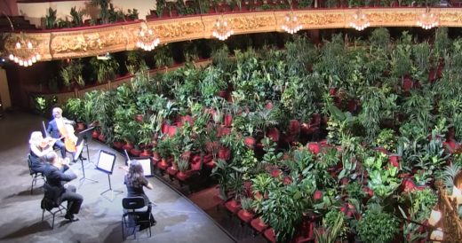 Spanish Opera Reopens With An Audience Of Plants After Long-Time Closure