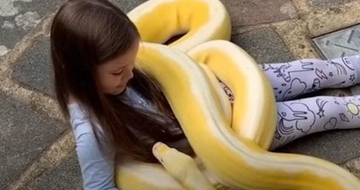 Young Girl Is Best Friends With 16-Foot Python