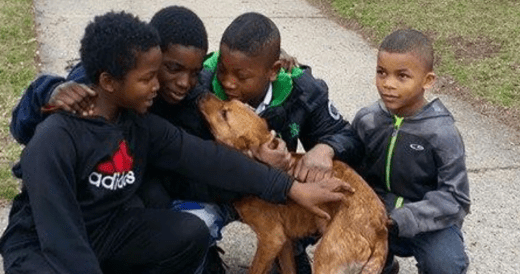 Four Boys Heroically Rescue A Dog Tied Up With Bungee Cords